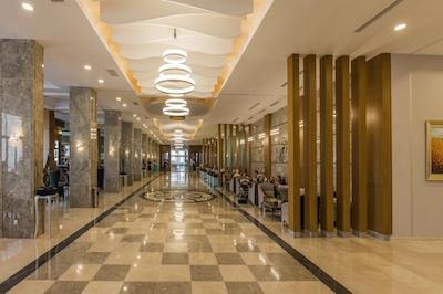 پالم وینگز افسوس