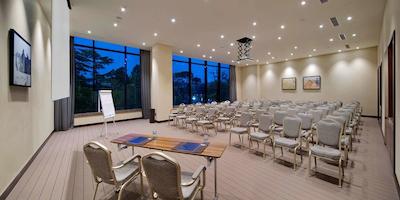 هیلتون باتومی