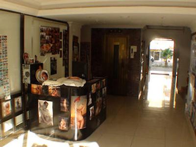 آرتمیس پرنسس هتل