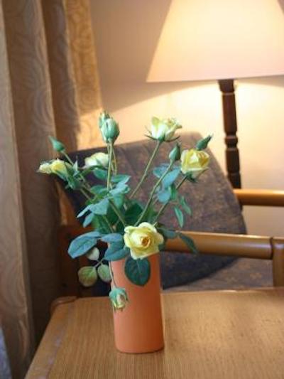 عااد هتل جاسمین