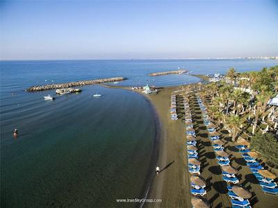 گلدن بی بیچ