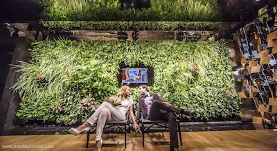 کاداشوسکیا