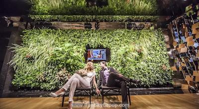 کاداشوسکیا