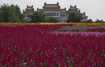 شراتون شاند هتل