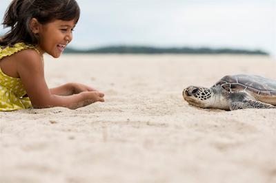 انگسانا لاگونا پوکت