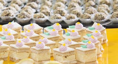 اچ وی دی ویوا کلاب