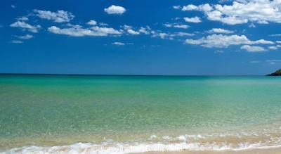 اچ وی دی ویوا کلاب