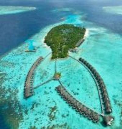 آیادا مالدیوس