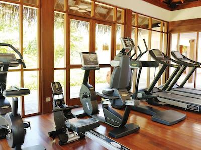 آیادا مالدیوس