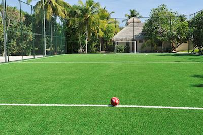 آیادا مالدیوس