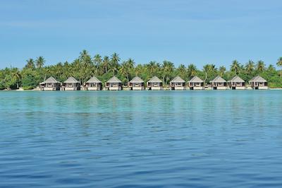 آیادا مالدیوس