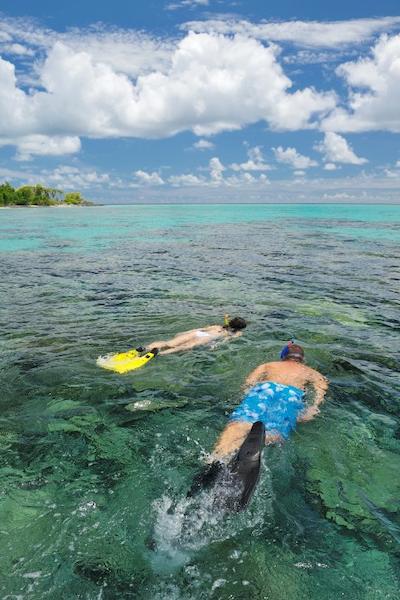 آیادا مالدیوس