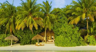 باروس مالدیو