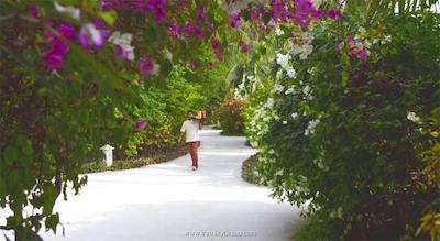 باروس مالدیو