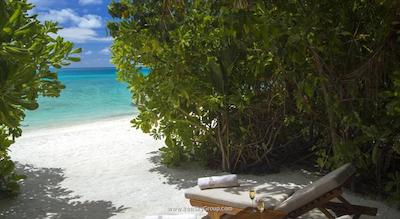 باروس مالدیو