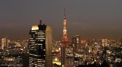 آنا اینترکنتیننتل توکیو