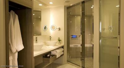 آنا اینترکنتیننتل توکیو