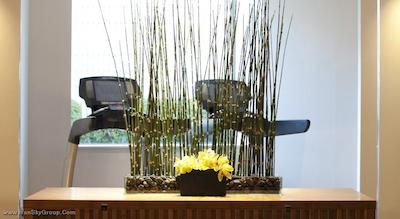 آنا اینترکنتیننتل توکیو