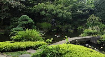 آنا اینترکنتیننتل توکیو