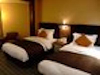 آنا اینترکنتیننتل توکیو