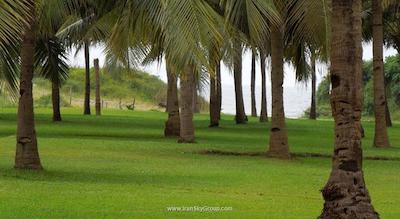 دونا سیلویا بیچ ریزورت