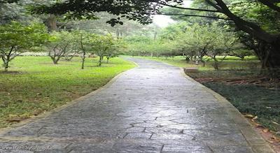 لندمارک اینترنشنال ساینس سیتی