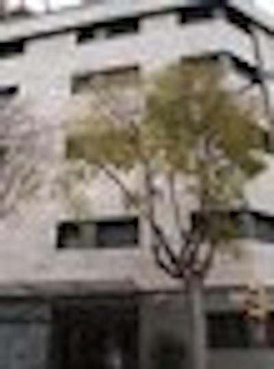 امری سانت پائو