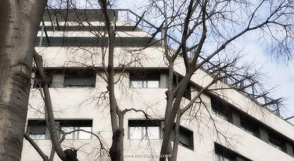 امری سانت پائو