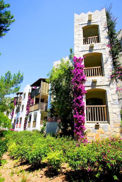 هپیمگ سعا گردن