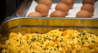 کلیما کیتیهتل وین