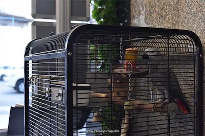 ایستنکی هتل بدروم