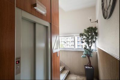 اکتا آنتیبس