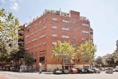 اکتا آنتیبس