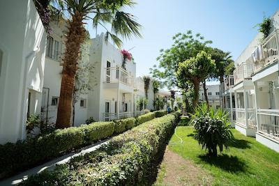 پتانيا بيچ ريزورت