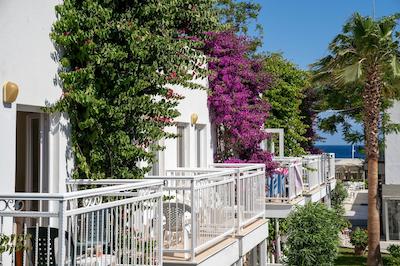 پتانيا بيچ ريزورت