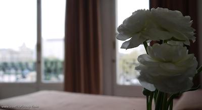 مدیوم منگال