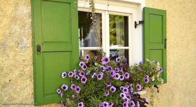 لندهتل مارتینشف نو مس