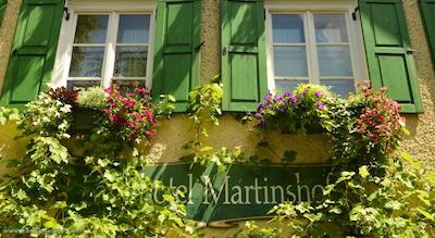 لندهتل مارتینشف نو مس