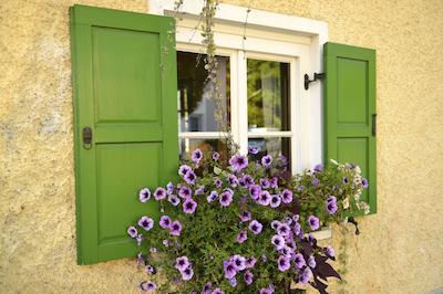 لندهتل مارتینشف نو مس