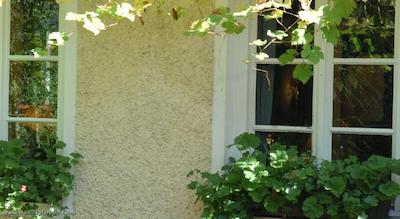 لندهتل مارتینشف نو مس