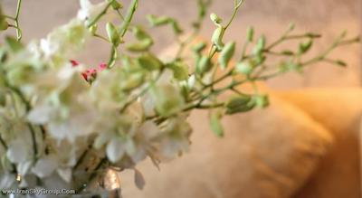 هتل لندمارک کنتون