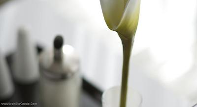 دیز این برلین وست