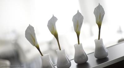 دیز این برلین وست