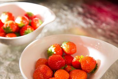 هتل ارث ایفل