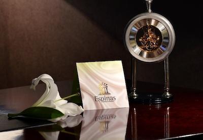 هتل اسپیناس