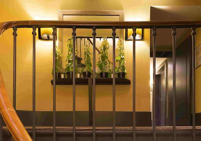 ا لا ویلا مادام