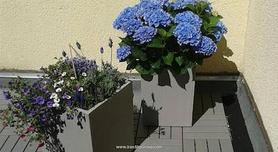 هتل بیگ معما