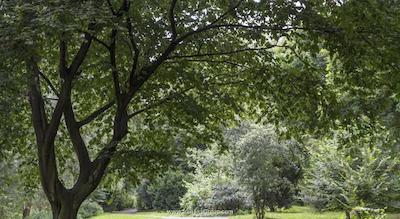 هتل بیگ معما