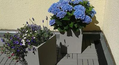 هتل بیگ معما