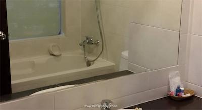 ناریس آرت هتل